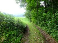  Blick auf die Wanderstrecke zur B120 