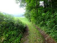  Blick auf die Wanderstrecke zur B120 