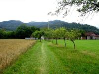  Blick auf die Wanderstrecke 