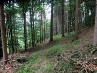  Blick auf die Wanderstrecke 