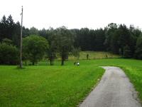  Blick auf die Wanderstrecke 