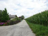  Wanderroute auf dem Burgstallweg 