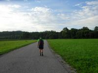  Blick auf die Wanderstrecke zur Ybbs 