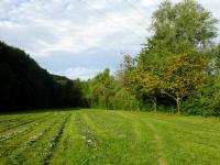  Blick auf die Wanderstrecke entlang der Ybbs 