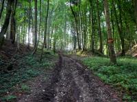  Blick auf die Wanderstrecke 