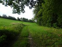  Blick auf die Wanderstrecke nach Fischerberg 