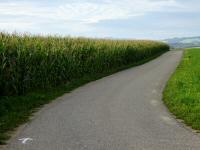  Blick auf die Wanderstrecke 