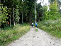 Blick auf die Wanderstrecke durch den Waldriede Weidholz 