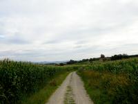  Wanderroute nach Schadendorf 