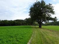  Blick auf die Wanderstrecke 