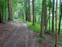  Blick auf die Wanderstrecke 