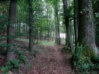  Blick auf die Wanderstrecke 