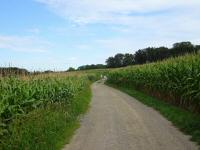  Blick auf die Wanderstrecke 