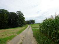  Blick auf die Wanderstrecke 