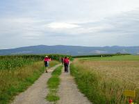  Blick auf die Wanderstrecke nach Winden 