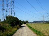  Blick auf die Wanderstrecke zur L6046 