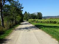  Blick auf die Wanderstrecke zur L6046 