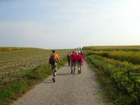 Wanderroute auf dem Gterweg Parndorf-Stonzova II