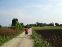  Blick auf die Wanderstrecke 