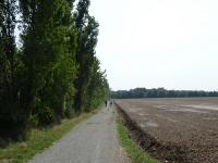  Blick auf die Wanderstrecke beim Heidentor 