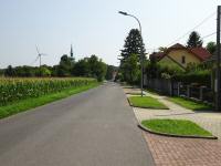  Blick auf die Wanderstrecke in Birnzipf-Rohrau 