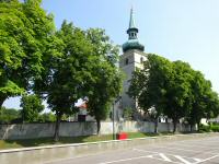 Blick zur Kath. Pfarrkirche hl. Veit in Rohrau 