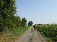  Blick auf die Wanderstrecke 