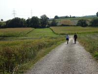  Wanderroute wieder nach Parndorf 