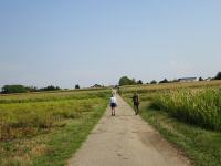  Wanderroute wieder nach Parndorf 