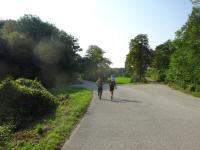  Blick auf die Wanderstrecke im TPL Bruckneudorf 