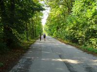  Blick auf die Wanderstrecke im TPL Bruckneudorf 