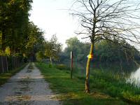 Wanderroute auf dem Pappelweg entlang des Schlossteichs 