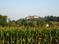  schner Fernblick zum Schloss Sitzenberg 