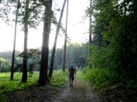  Blick auf die Wanderstrecke 