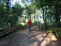  Blick auf die Wanderstrecke 