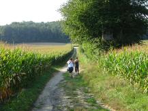  Blick auf die Wanderstrecke 