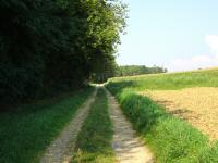  Blick auf die Wanderstrecke 