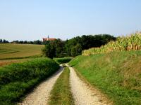 Blick in die Ferne ber die  Wanderstrecke zur Wallfahrtskirche Heiligenkreuz-Gutenbrunn