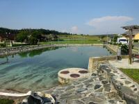 Blick auf die Teichanlage mit Freibad in Gutenbrunn 