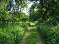  Wanderroute durch den Gutenbrunner Graben 