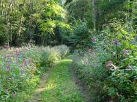  Wanderroute durch den Gutenbrunner Graben 