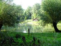  Blick zu den Teichanlagen im Gutenbrunner Graben 