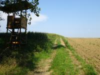  Blick auf die Wanderstrecke 