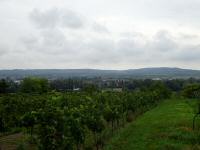  schner Fernblick Richtung Hadersdorf/Kamp 