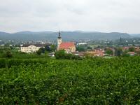 schner Fernblick zum Schloss und Pfarrkirche Gobelsburg 