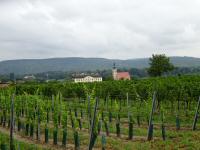  Fernblick zum Schloss und Pfarrkirche Gobelsburg 