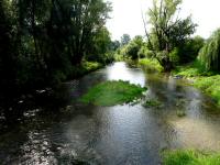  Blick auf den Kamp flussabwrts 