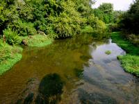 Blick auf den Kamp flussaufwrts mit der Einmndung des Loisbachs