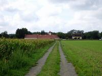  Blick auf die Wanderstrecke zur Kamptal Strae (B34) 