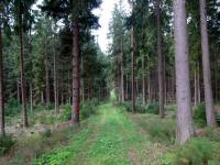  Blick auf die Wanderstrecke 